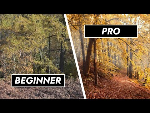 Видео: 10 быстрых советов для профессиональной фотосъемки осенью 🍂