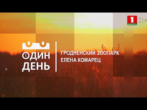 Видео: Гродненский зоопарк. Елена Комарец