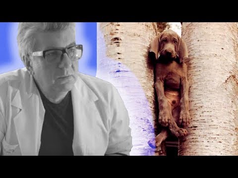 Видео: Я застрял. Как не застрять по жизни.