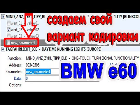 Видео: Как кодировать БМВ е60 не стоковым вариантом в NCS expert