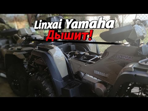 Видео: Linxai Yamaha  Дышит!? Прет на все бабки!?🤘💪.Едет лучше брп?#врекомендации #квадроцикл#bike #yamaha