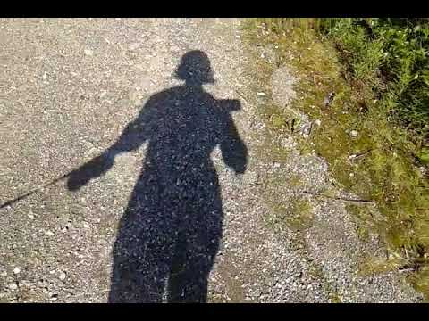 Видео: Как вызвать Тикки Тоби? Вызываем Тоби)