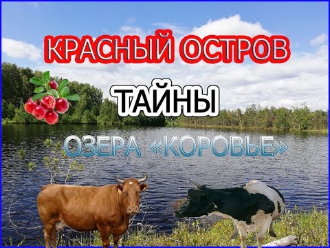 Видео: Тайны "Красного острова"