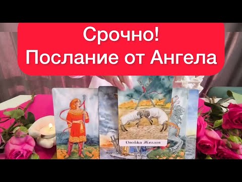 Видео: ‼️Срочное послание для вас от вашего ангела хранителя! 🫵