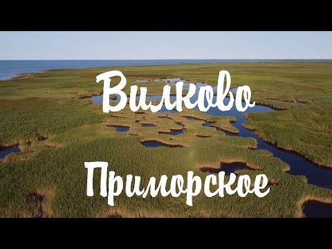 Видео: Приморское | Вилково