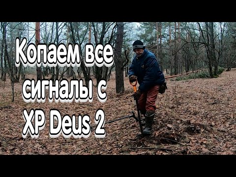 Видео: Копаем все сигналы с металлоискателем XP Deus 2