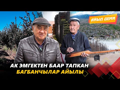Видео: Ак эмгектен баар тапкан багбанчылар айылы // АЙЫЛ ДЕМИ берүүсү