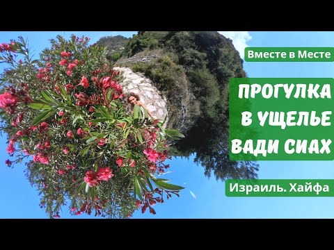 Видео: Ущелье Вади Сиах. Хайфа. Израиль