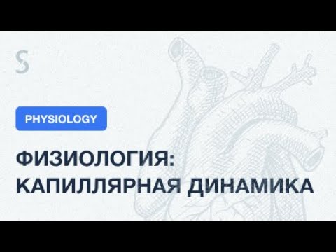 Видео: USMLE Step 1 - Физиология: капиллярная динамика. Уравнение Старлинга