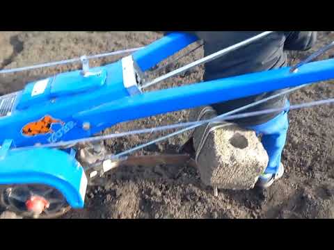 Видео: Посадка картоплі мотоблоком 10.04.2023