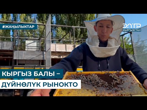 Видео: КЫРГЫЗ БАЛЫ – ДҮЙНӨЛҮК РЫНОКТО
