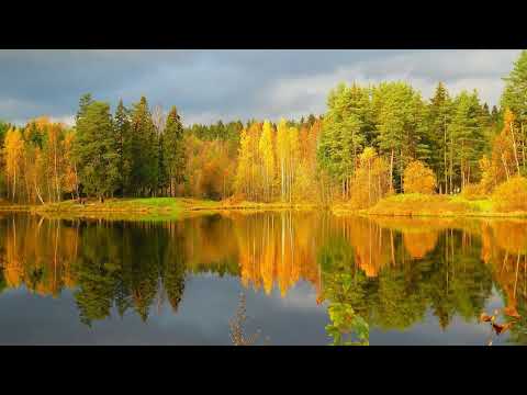 Видео: P.Tchaikovsky October. Autimn`s Song/П.И.Чайковский Октябрь Осенняя песнь