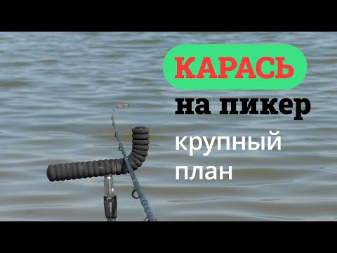 Видео: Майский карась на пикер. Поклевки карася крупным планом. Рыбалка в Омске #OmskFish