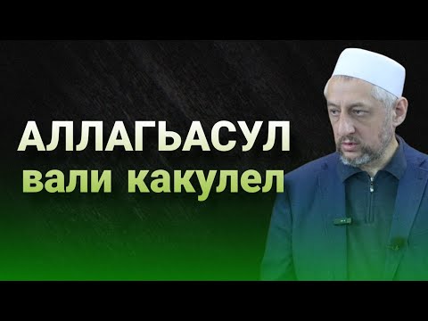 Видео: АЛЛАГЬАСУЛ вали какулел