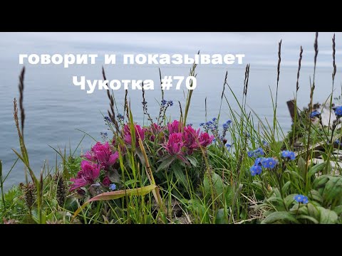 Видео: Говорит и показывает Чукотка #70