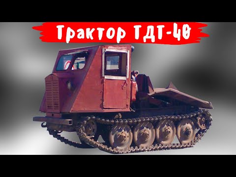 Видео: За что трактористы полюбили трелевочный трактор ТДТ 40