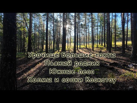 Видео: В лесах Каскатау урочища Большие токты | Раздольное | Пьяный родник | село Крупской Саргут (заброш.)