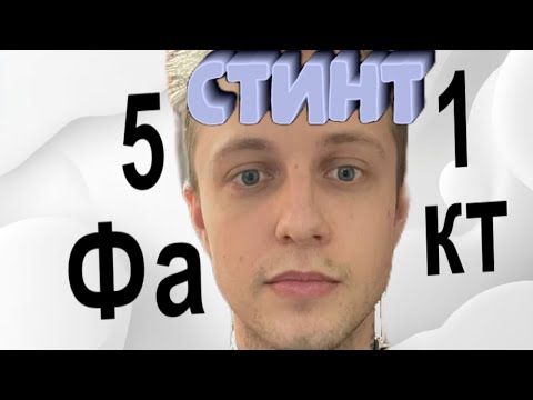 Видео: 51 факт о стинте • @TheStintGames 