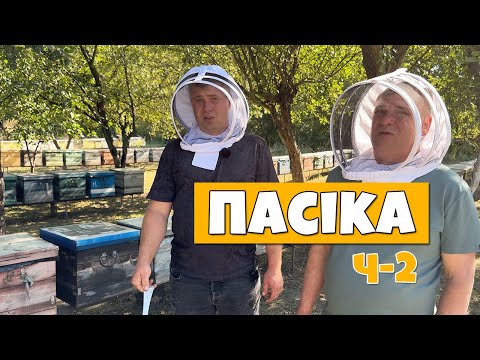 Видео: Бджільництво Степанченків 🐝 | Частина 2