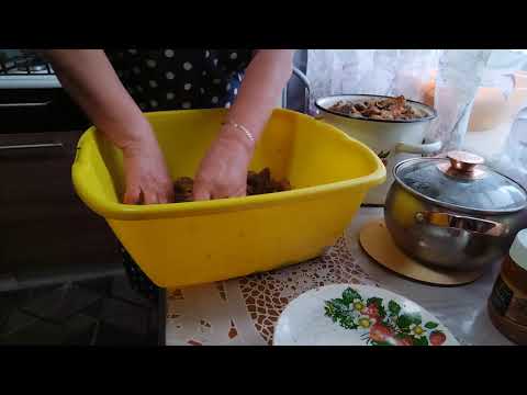 Видео: Занимаюсь грибами 🍄🍄🍄