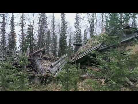 Видео: Останки лагеря ГУЛАГа у разъезда «Щучий».