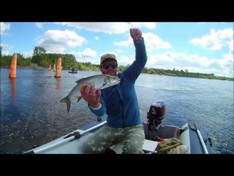 Видео: Ловля Жереха с лодки на Камской ГЭС