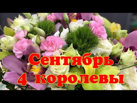 Видео: 🍁 Сентябрь 🍁 4 королевы 🍁