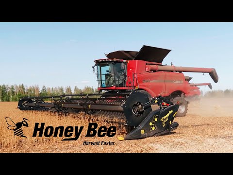 Видео: КФХ Гриднев жатка Honey Bee