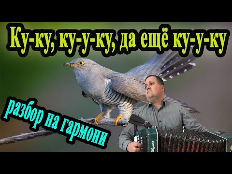 Видео: Кукушка // разбор на гармони