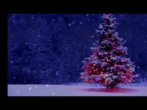 Видео: Новогдняя песня. Jingle Bells. Русская версия. На русском языке. #песни #песня