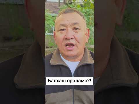 Видео: Балхаш оралама?!