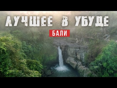 Видео: Чем Убуд привлекает туристов? Красота Джунглей / Убуд 2025 Достопримечательности Бали