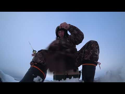 Видео: как поймать судака 100% оз. Глубокое. рыбалка 9.02.22.