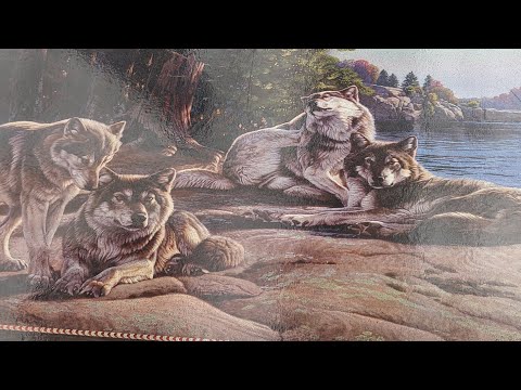 Видео: Барахолка тёплой осени. Санкт-Петербург. 