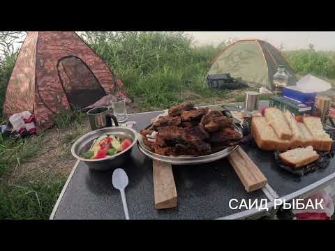 Видео: РЫБАЛКА НА ДИКОГО САЗАНА . ЖАРИМ РЫБУ .
