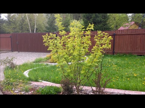 Видео: УЧАСТОК ПОСЛЕ ЗИМЫ. ВЪЕЗДНАЯ ЗОНА.