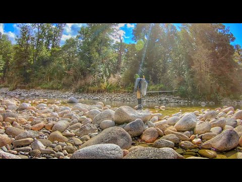 Видео: УДАЛЕННАЯ рыбалка на жуткую форель в дикой природе [Новая Зеландия]