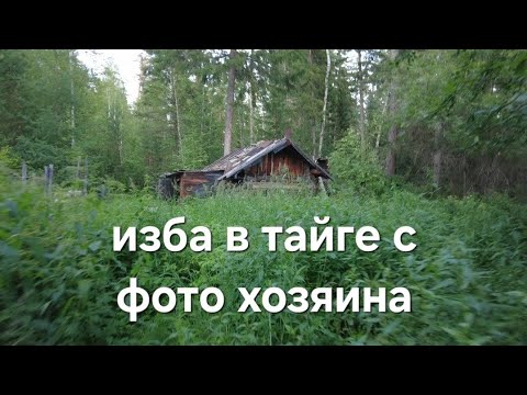 Видео: Изба в тайге с фото хозяина/ Медведь преследует нас