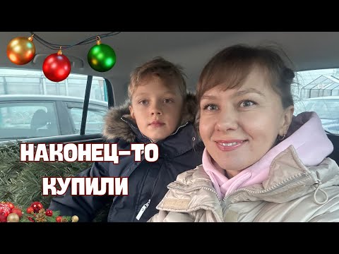 Видео: VLOG: Живые ели в Румынии/ Шопинг и декор в одном видео