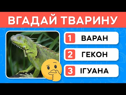 Видео: ВГАДАЙ ТВАРИН ПО ФОТО 😂 Пройди цей тест 👍