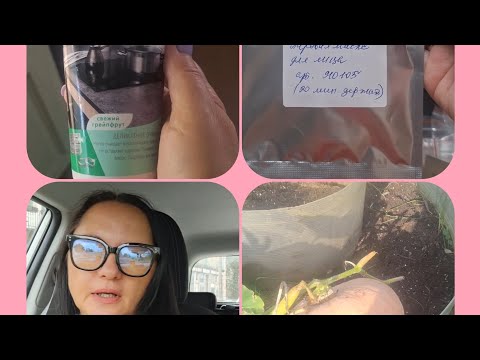 Видео: 🤩ВЛОГ-БОЛТАЛКА/НЕМНОГО О ЛИЧНОМ