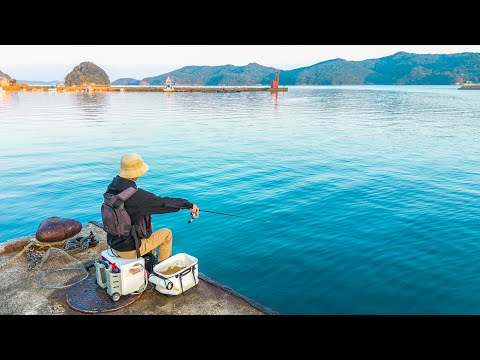 Видео: Рыбалка пельмени отрубей, три вида морского леща.