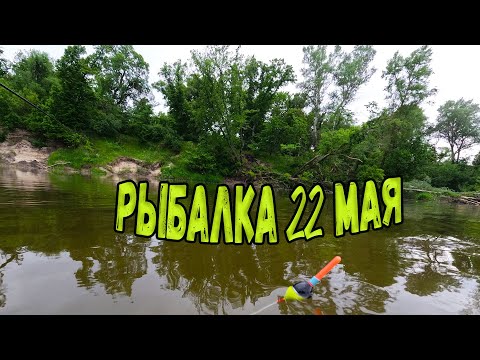 Видео: Рыбалка на речке 22 мая.
