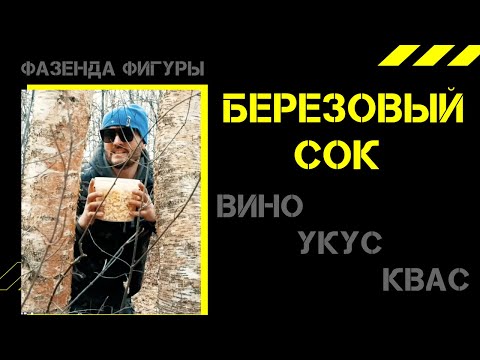 Видео: Фазенда Фигуры / Способы добычи березового сока / Квас, уксус и игристое вино из березового сока