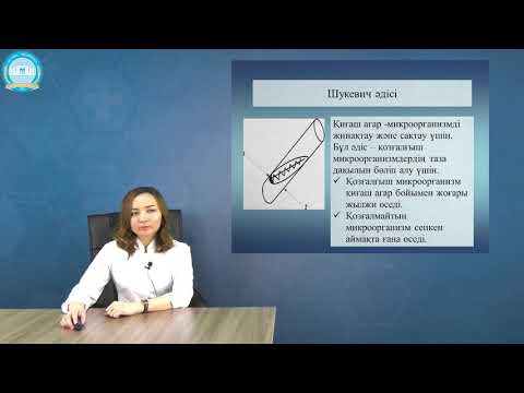 Видео: Бактериялық дақылдарды бөліп алу әдістері. Аэробтардың таза дақылын бөліп алу