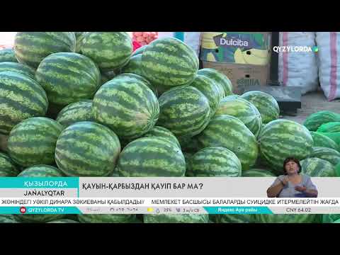 Видео: ҚАУЫН-ҚАРБЫЗ ҚАУІПТІ ЕМЕС ПЕ?
