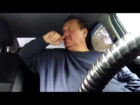 Видео: Мухоморный бэд трип За гранью смерти