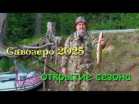 Видео: Савозеро 2025 / открытие сезона, первая рыба!