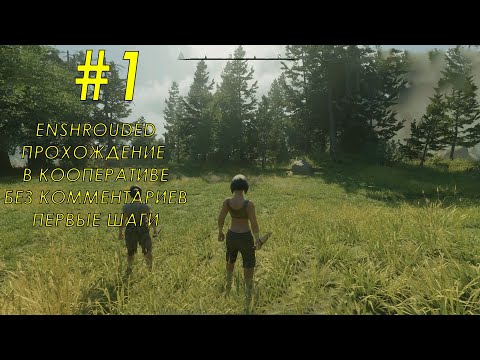 Видео: Enshrouded кооперативное прохождение часть 1