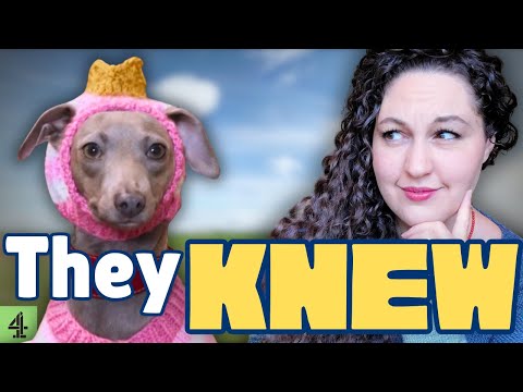 Видео: Игра в шерсть. Эпизод 2: Становится грязно